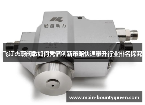 飞汀杰蔚阀敏如何凭借创新策略快速攀升行业排名探究