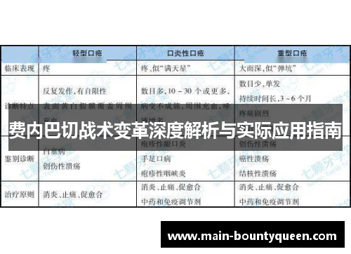 费内巴切战术变革深度解析与实际应用指南