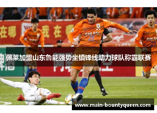 佩莱加盟山东鲁能强势坐镇锋线助力球队称霸联赛