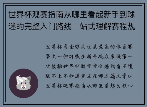 世界杯观赛指南从哪里看起新手到球迷的完整入门路线一站式理解赛程规则看点