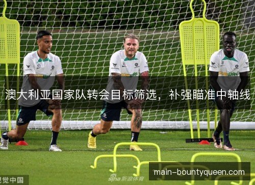 澳大利亚国家队转会目标筛选，补强瞄准中轴线